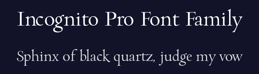 Incognito Pro Font Family by 1001fonts — Serif Font — thumbnail 2