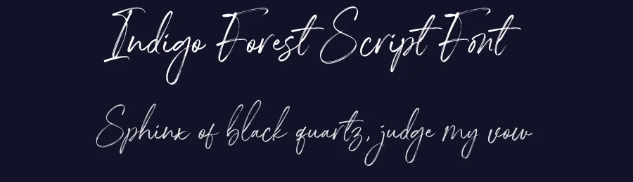 Indigo Forest Script Font by Letteralle Studio — Script Handwritten Font — thumbnail 2