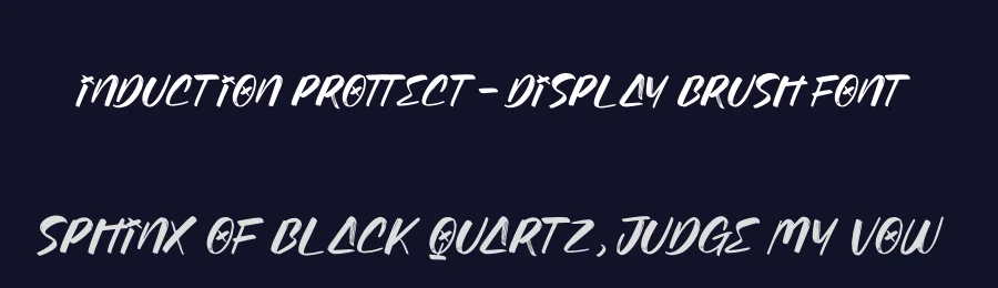 Induction Prottect – Display Brush Font by stylishtype.co — Script Handwritten Font — thumbnail 2