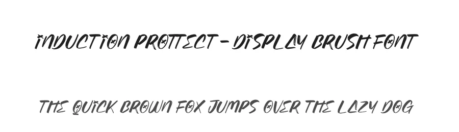 Induction Prottect – Display Brush Font by stylishtype.co — Script Handwritten Font