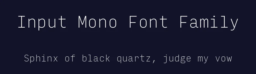 Input Mono Font Family by David Jonathan Ross — Display Font — thumbnail 2