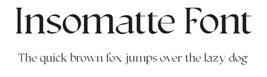 Insomatte Font by Lettermine — Serif Font