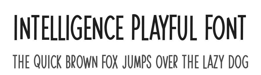 Intelligence Playful Font by Hanna Bie — Display Font