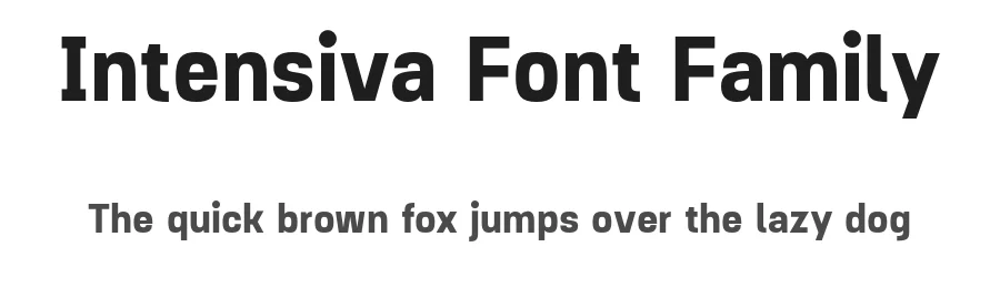 Intensiva Font Family by Graviton Font Foundry — Sans Serif Font