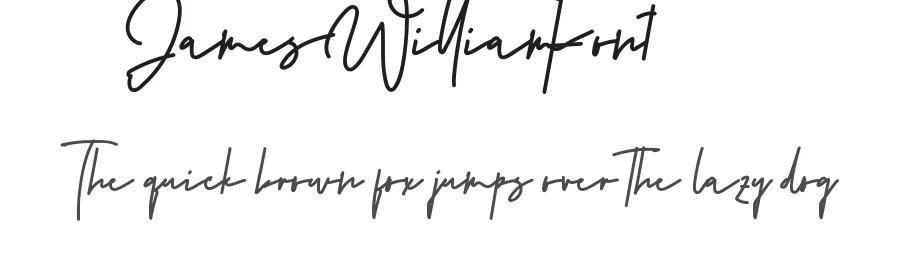 James William Font by VinType — Script Handwritten Font