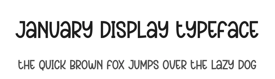 January Display Typeface by creativeletter — Display Font