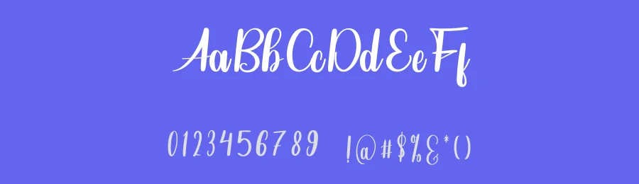 January Package Script Font by inermediaSTUDIO — Script Handwritten Font — thumbnail 3
