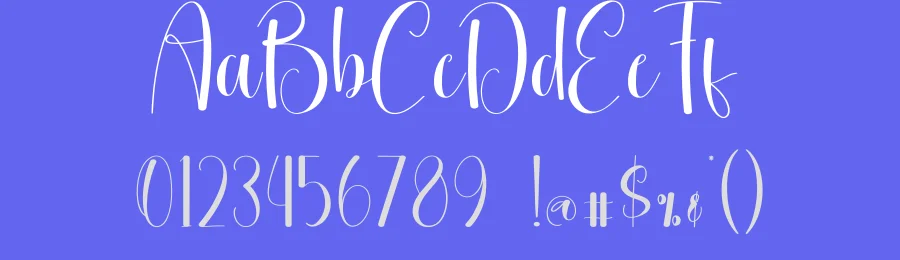 Jellyfish Calligraphy Font by creativeletter — Script Handwritten Font — thumbnail 3