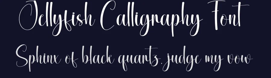 Jellyfish Calligraphy Font by creativeletter — Script Handwritten Font — thumbnail 2