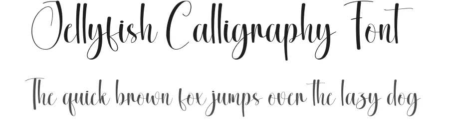 Jellyfish Calligraphy Font by creativeletter — Script Handwritten Font
