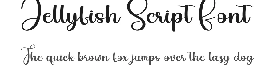 Jellyfish Script Font by andikastudio — Script Handwritten Font