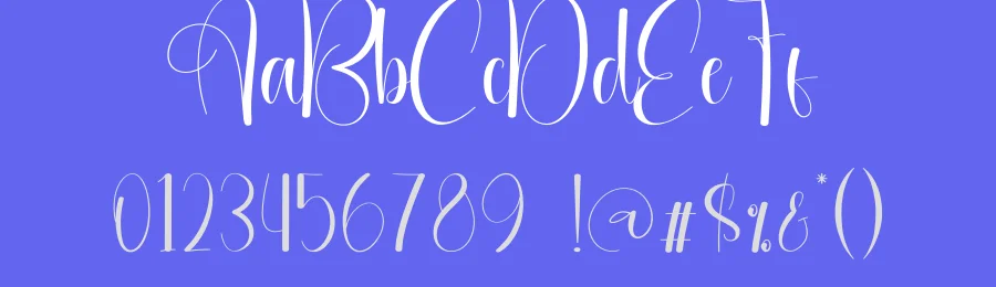 Jellyfish Script Font by andikastudio — Script Handwritten Font — thumbnail 3