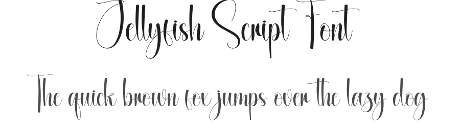 Jellyfish Script Font by andikastudio — Script Handwritten Font