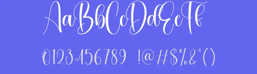 Jewelry Calligraphy Font by creativeletter — Script Handwritten Font — thumbnail 3