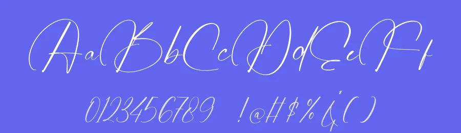 Josephine Octavia Calligraphy Font by stylishtype.co — Script Handwritten Font — thumbnail 3