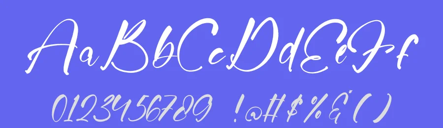 Jungle Coastal Font by stylishtype.co — Script Handwritten Font — thumbnail 3