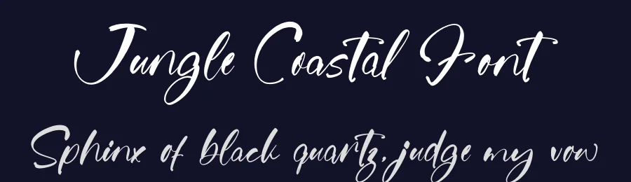 Jungle Coastal Font by stylishtype.co — Script Handwritten Font — thumbnail 2