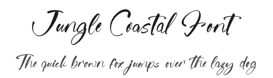 Jungle Coastal Font by stylishtype.co — Script Handwritten Font