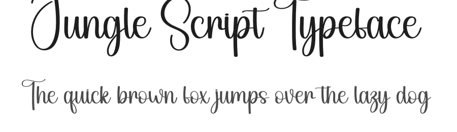 Jungle Script Typeface by creativeletter — Script Handwritten Font