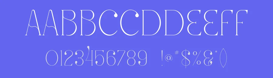 Juniper Font by vpcreativeshop — Serif Font — thumbnail 3