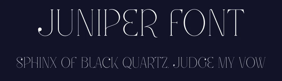 Juniper Font by vpcreativeshop — Serif Font — thumbnail 2