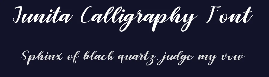 Junita Calligraphy Font by letterfonts — Script Handwritten Font — thumbnail 2