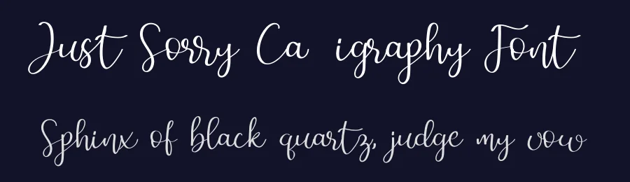 Just Sorry Calligraphy Font by Nuryanto Dwi — Script Handwritten Font — thumbnail 2