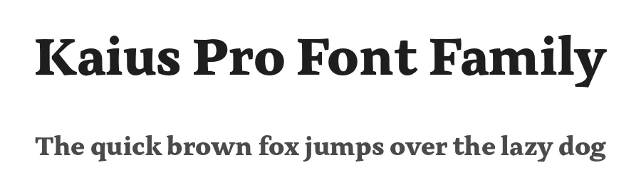Kaius Pro Font Family by TypeMates — Serif Font