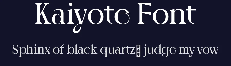 Kaiyote Font by sixtypefoundry — Serif Font — thumbnail 2
