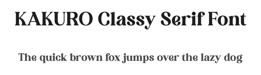 KAKURO Classy Serif Font by Storytype — Serif Font