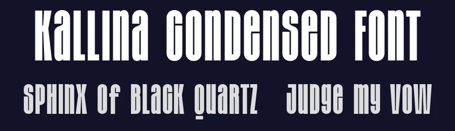 Kallina Condensed Font by Say Studio — Sans Serif Font — thumbnail 2