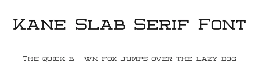 Kane Slab Serif Font by ari — Display Font