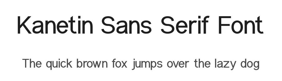 Kanetin Sans Serif Font by Din Studio — Sans Serif Font