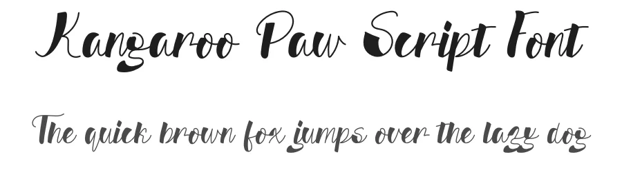 Kangaroo Paw Script Font by andikastudio β Script Handwritten Font