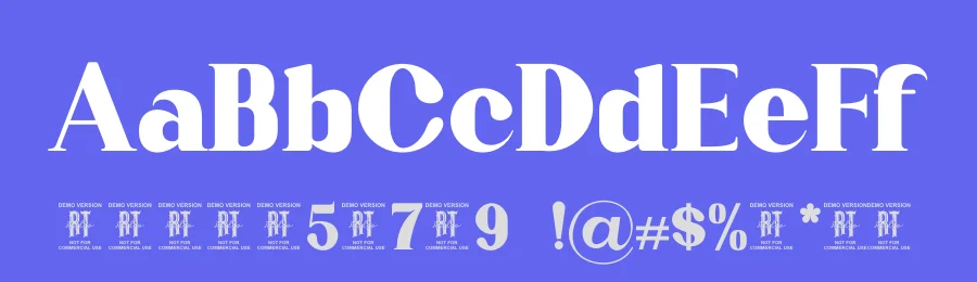 Karlout Font by RTSTD — Serif Font — thumbnail 3