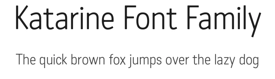 Katarine Font Family by Suitcase Type Foundry — Sans Serif Font