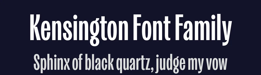 Kensington Font Family by Fort Foundry — Decorative Font — thumbnail 2