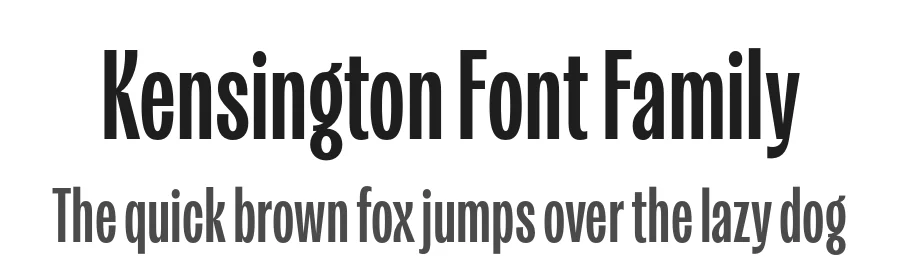 Kensington Font Family by Fort Foundry β Decorative Font