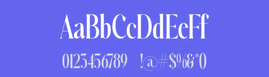 Ketchup Vintage – Modern Serif Font by timelesstype.co — Display Font — thumbnail 3