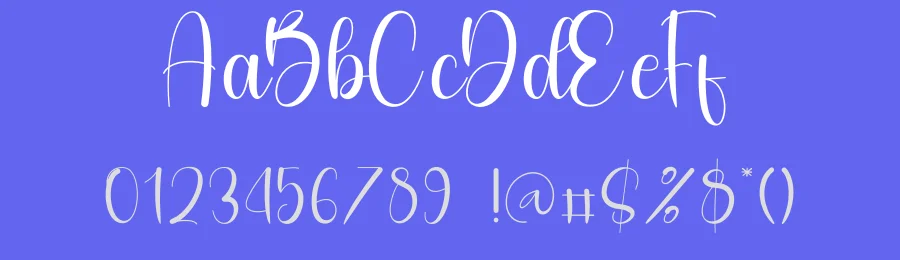 Keychain Display Script Font by freshtypeink — Script Handwritten Font — thumbnail 3