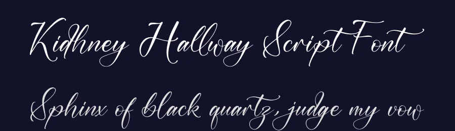 Kidhney Hallway Script Font by letterfabric — Script Handwritten Font — thumbnail 2