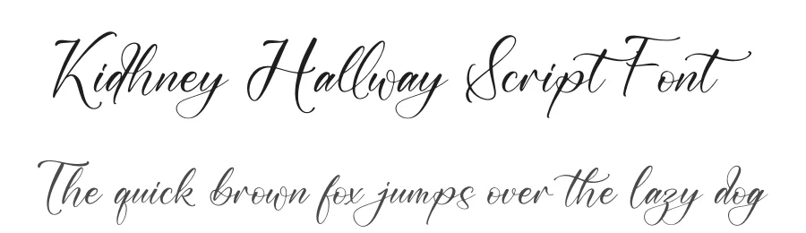 Kidhney Hallway Script Font by letterfabric — Script Handwritten Font