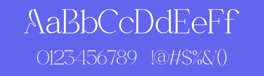 Kinasha Font by ErmediaStudio — Serif Font — thumbnail 3