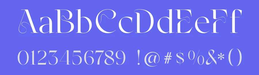 Kondo Font by Surplus Type Co — Serif Font — thumbnail 3