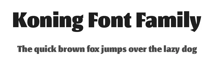 Koning Font Family by LucasFonts — Sans Serif Font
