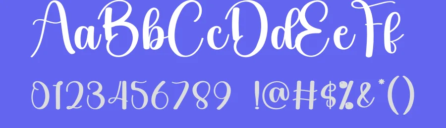 Lady Script Font by creativeletter — Script Handwritten Font — thumbnail 3
