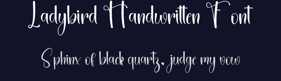 Ladybird Handwritten Font by freshtypeink — Script Handwritten Font — thumbnail 2