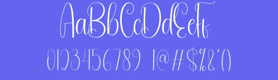 Ladybird Script Font by andikastudio — Script Handwritten Font — thumbnail 3
