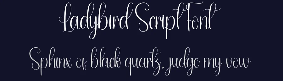 Ladybird Script Font by andikastudio — Script Handwritten Font — thumbnail 2