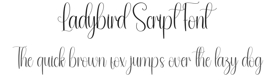 Ladybird Script Font by andikastudio — Script Handwritten Font
